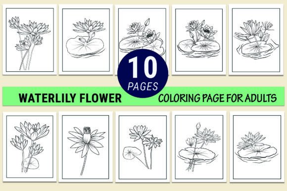 Waterlily Drawing Coloring Pages: Graphics for Thoughtful Coloring Pages